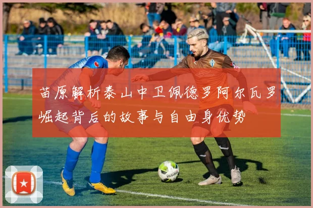 苗原解析泰山中卫佩德罗阿尔瓦罗崛起背后的故事与自由身优势