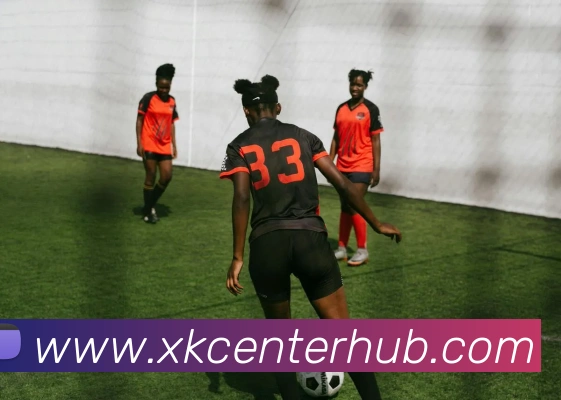 星空体育平台生态图